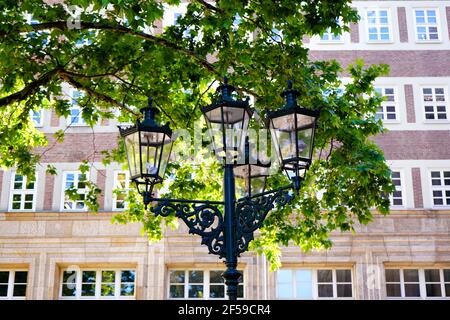 Alte Gaslaterne und alter Baum vor einem Gebäude am Stadtbrückchen im Düsseldorfer Stadtbrückchen. Stockfoto