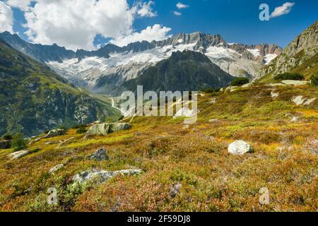 Geographie / Reisen, Schweiz, Dammastock, 3630m, Goescheneralp, Uri, Additional-Rights-Clearance-Info-Not-Available Stockfoto