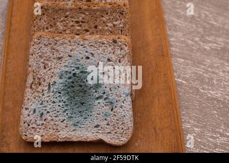 Brot mit grünem Schimmel auf einem Holzbrett. Stockfoto