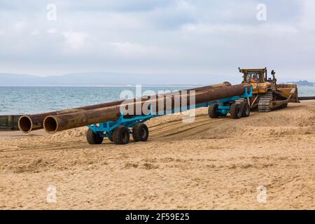 CAT Caterpillar D7H Series II Transport von großen Rohren auf Anhänger entlang Strand für Strand Nachschub Arbeit in Bournemouth und Poole Beaches, Dorset UK Stockfoto