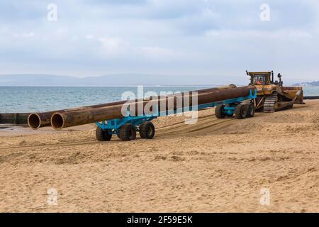 CAT Caterpillar D7H Series II Transport von großen Rohren auf Anhänger entlang Strand für Strand Nachschub Arbeit in Bournemouth und Poole Beaches, Dorset UK Stockfoto