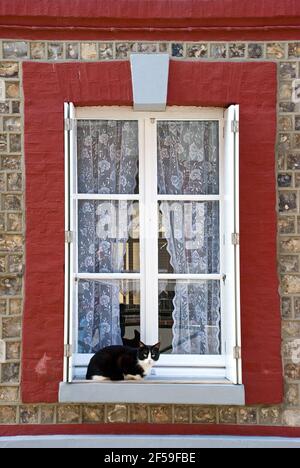 Katze auf Fensterbank, rot weißes Fenster eines typischen Hauses in der Normandie Stockfoto