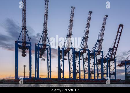 Geographie / Reisen, Deutschland, Hamburg, Containerhafen, Kran, Additional-Rights-Clearance-Info-Not-Available Stockfoto