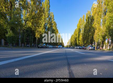 Geographie / Reisen, Deutschland, München, Leopoldstraße, Schwabing, Additional-Rights-Clearance-Info-Not-Available Stockfoto