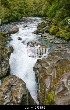 Naturlandschaft rund um die Chasm Falls am Cleddau River at Die Südinsel von Neuseeland Stockfoto