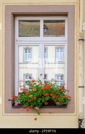 Typisches Schwarzwaldfenster mit Altbau in Spiegelung und hängenden, mit Blumen besackten, Sankt Peter, Deutschland. Stockfoto