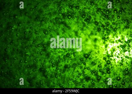 Große schöne Sauerstoffblasen unter Wasser auf einem blauen Hintergrund Makro. Bewegung Sauerstoff bläht in einer Flüssigkeit bei der Studiobeleuchtung Stockfoto