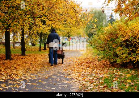 POZNAN, POLEN - 16. Oktober 2013: Obdachloser, der mit seinem Wagen in einem Park läuft Stockfoto