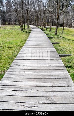 Langer Holzboardwalk-Fußweg durch den bewaldeten Park Stockfoto