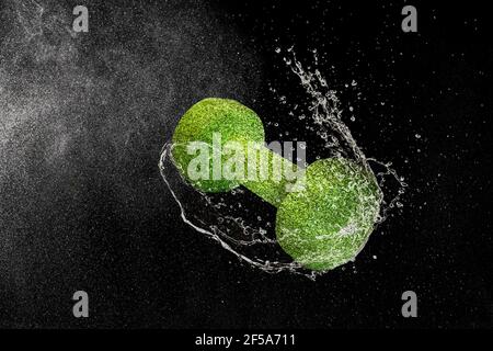 Kurzhantel fliegen in Wassertropfen und Spritzer isoliert auf schwarz Hintergrund Stockfoto