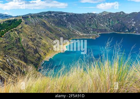 Andengras mit Quilotoa Vulkankrater Lagune im Hintergrund entlang der Quilotoa Loop Wanderung, Quito Region, Ecuador. Konzentrieren Sie sich auf Gras. Stockfoto