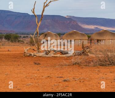 NAMIB NAUKLUFT PARK, NAMIBIA - JANUAR 06. 2021: We Kebi Safari Lodge - toter Baum an einem Wasserloch, Hintergrund Reetdachhaus an der Namib Naukluft Stockfoto