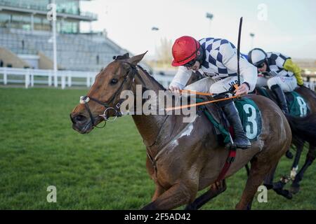 Datei Foto vom 16-03-2021 von Jack Kennedy Reiten Galvin (rote Kappe) löscht die letzte, die Sam Vestey National Hunt Challenge Cup Novices' Chase während des ersten Tages des Cheltenham Festival auf Cheltenham Rennbahn zu gewinnen. Ausgabedatum: Donnerstag, 25. März 2021. Stockfoto