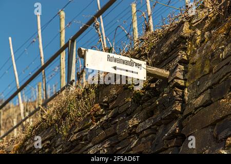 Wanderwege auf der Ahr bei Mayschoss, Deutschland Stockfoto