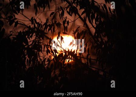 Eine orange Sonne untergeht hinter Bäumen am Ende von Ein klarer Tag Anfang März Stockfoto