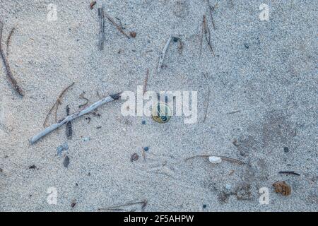 Eine achtlos weggeworfene Corona Bierflaschenkappe halb darin vergraben Der Sand am Strand am See rostet weg Die Umwelt verschmutzen Stockfoto