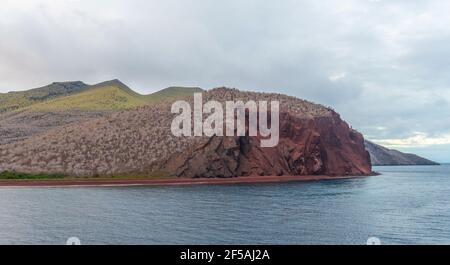 Rabida Insel Luftpanorama Landschaft mit rotem Sandstrand, Galapagos Inseln Nationalpark, Ecuador. Stockfoto