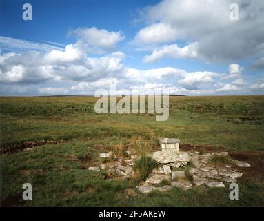 Cranmere Pool Briefkasten auf dem desolaten Dartmoor. Stockfoto