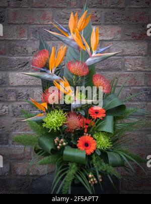 Ein großes Vogel-vom-Paradies-Blumenarrangement gegen eine Ziegelwand. Stockfoto