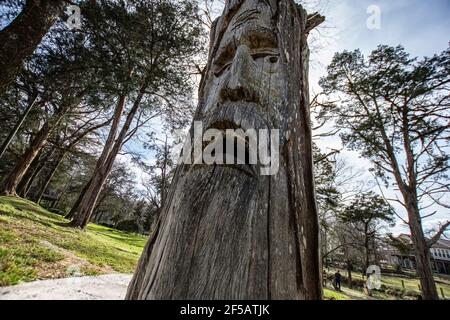 Montevallo, Alabama/USA-März 12: Eines der berühmten holzgeschnitzten Gesichter im Orr Park des Künstlers Tim Tingle aus einem niedrigen Winkel betrachtet. Dieses Projekt begann ich Stockfoto