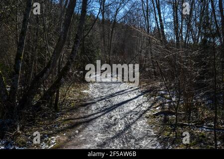 Schmutzige Schlammstraße im Winter mit Wasser auf der Oberfläche. Sonniger Tag mit Schnee. Frühlingslandschaft Stockfoto