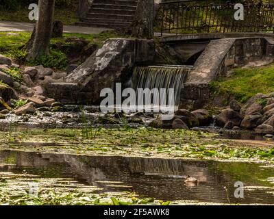 Stadt Riga, Lettland, Herbst. Arkadijas Park, gelbe Bäume und Wasserfall, Blätter. Reise Natur Foto Stockfoto