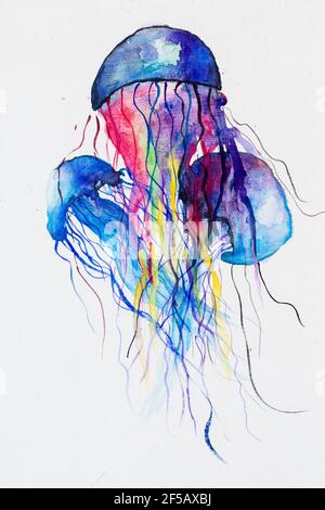 Bunte Quallen in Aquarellen, lila, blau Stockfoto