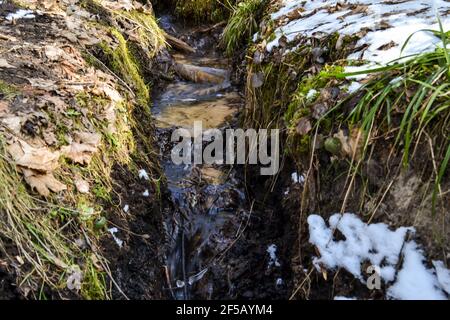 Kleine Waldquelle mit klarem Trinkwasser an einem kalten Frühlingstag. Das Gras ist mit Schnee bedeckt.Makrofotografie Stockfoto