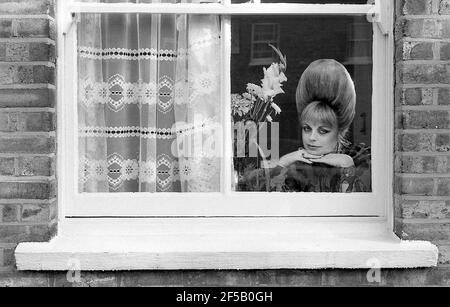 Mari Wilson.“ The Neasden Soul Queen' zu Hause in London 10/1982 Stockfoto