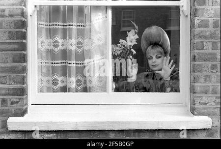 Mari Wilson.“ The Neasden Soul Queen' zu Hause in London 10/1982 Stockfoto