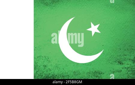 Pakistanische Nationalflagge im Grunge-Stil Stock Vektor