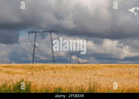 Mehrere Stromleitungsmasten stehen in der Mitte eines Weizenfeld gegen einen stürmischen Himmel Stockfoto