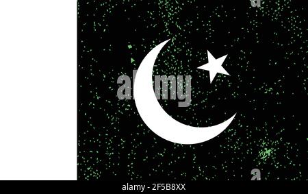 Pakistanische Nationalflagge im Grunge-Stil Stock Vektor