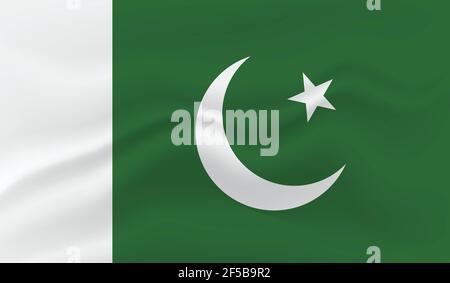 Pakistanische Nationalflagge im Grunge-Stil Stock Vektor