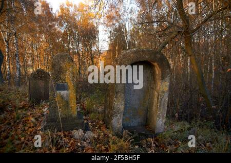 Verlassene jüdische Friedhof Herbstzeit in Ost-Weißrussland Stockfoto