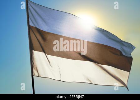 Estland Flagge winkt auf dem Wind vor der Sonne Stockfoto