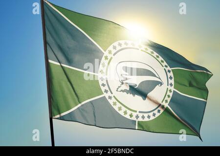 Martinique Flagge winkt auf dem Wind vor der Sonne Stockfoto