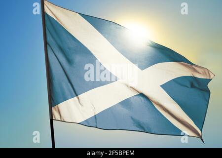 Schottland Flagge winkt auf dem Wind vor der Sonne Stockfoto