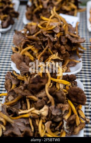 VIC Wochenmarkt, frische und biologische Produkte, Barcelona, Katalonien, Spanien. Stockfoto