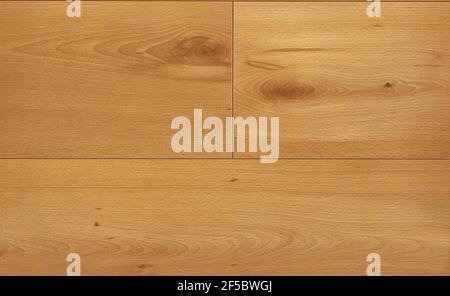Natürliche Buche wideplank Holz Textur Hintergrund. Holzhintergrund Stockfoto