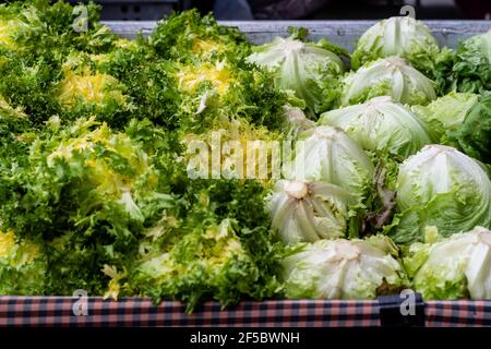 VIC Wochenmarkt, frische und Bio-Produkte, Bio-Gemüse, Barcelona, Katalonien, Spanien. Stockfoto