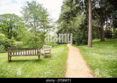 Verlassene Schotterweg durch blühende Wiesen und Wälder im Park im Frühjahr. Zwei leere verwitterte Holzbänke mit Blick auf einen Teich stehen im Vordergrund. Stockfoto