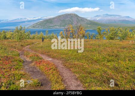 Der Mensch geht hinunter zum See tief in Schwedisch Lappland. Sonniger Tag und Herbstfarben im Abisko Nationalpark, Schweden. Tornetrask See in arktischer Wildnis auf Stockfoto