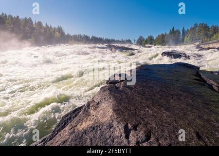 Storforsen, wilder, riesiger Wasserfall am Pite River in der schwedischen Arktis an einem sonnigen Tag im arktischen Sommer. Norrbottens Gebiet, nordwestlich von Alvsbyn. Wild Stockfoto