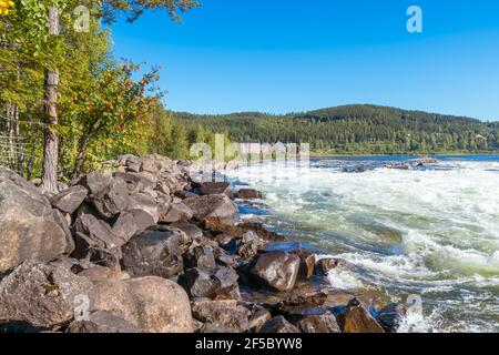 Storforsen, wilder, riesiger Wasserfall am Pite River in der schwedischen Arktis an einem sonnigen Tag im arktischen Sommer. Norrbottens Gebiet, nordwestlich von Alvsbyn. Wild Stockfoto