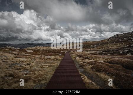 Panoramische alpine Landschaft auf dem Kosciuszko Wanderweg im Kosciuszko Nationalpark. Stockfoto