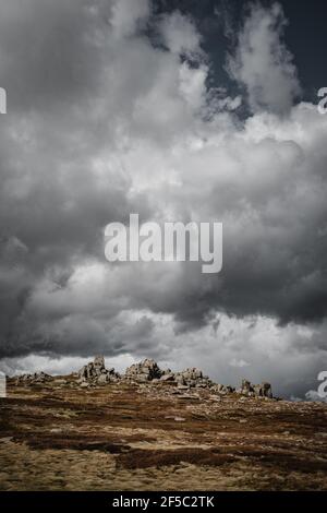 Alpine Aussicht im Kosciuszko Nationalpark Stockfoto