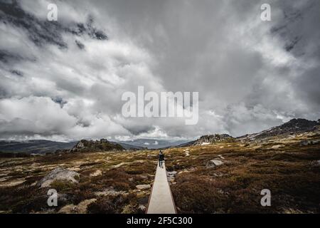 Panoramablick auf den Kosciuszko Nationalpark zu Fuß den Start des Dead Horse Gap Track. Stockfoto