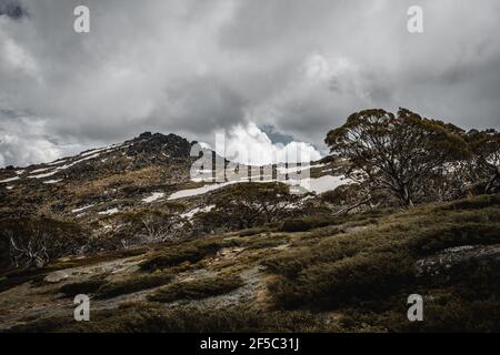 Panoramablick auf den Kosciuszko Nationalpark zu Fuß den Start des Dead Horse Gap Track. Stockfoto