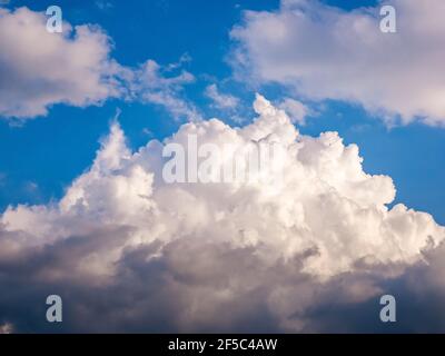 Massive Wolken - Cumulus congestus oder aufragender Cumulus - bilden sich am blauen Himmel. Stockfoto